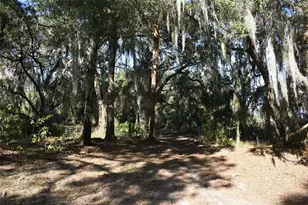 13800 Co Rd 450, Umatilla, FL 32784 - Photo 33