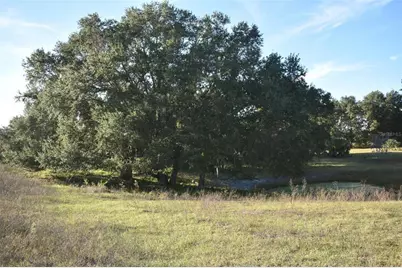 13800 County Road 450, Umatilla, FL 32784 - Photo 65