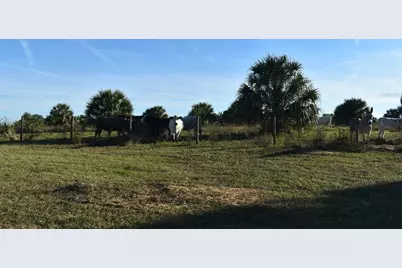 13800 County Road 450, Umatilla, FL 32784 - Photo 49