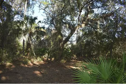 13800 County Road 450, Umatilla, FL 32784 - Photo 35