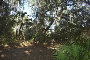 13800 Co Rd 450, Umatilla, FL 32784 - Photo 35