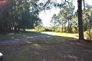 13800 Co Rd 450, Umatilla, FL 32784 - Photo 25