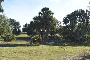 13800 Co Rd 450, Umatilla, FL 32784 - Photo 47