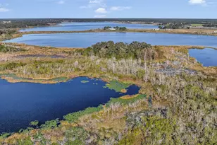 13800 Co Rd 450, Umatilla, FL 32784 - Photo 9