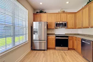 27531 Pleasure Ride Loop, Wesley Chapel, FL 33544 - Photo 9