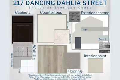 217 Dancing Dahlia Street, Ruskin, FL 33570 - Photo 3