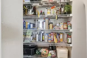 4193 Juliana Lake Dr, Auburndale, FL 33823 - Photo 31