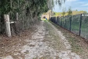 1502 E T Hitte Trail, Seffner, FL 33584 - Photo 5