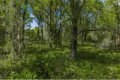 0 Clayton Road, Kathleen, FL 33849 - Photo 33