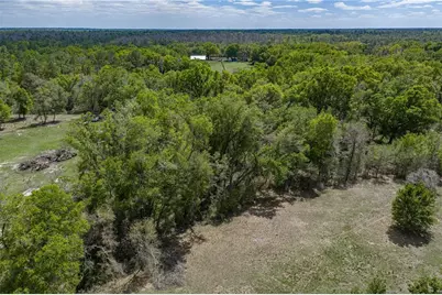 0 Clayton Road, Kathleen, FL 33849 - Photo 13