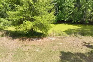 1415 N Wabash Ave, Lakeland, FL 33805 - Photo 9