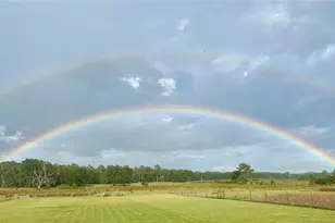 15353 Evans Ranch Rd, Lakeland, FL 33809 - Photo 53