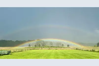 15353 Evans Ranch Road, Lakeland, FL 33809 - Photo 51