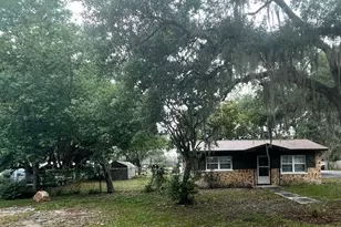 204 Callitris Ave, Polk City, FL 33868 - Photo 19