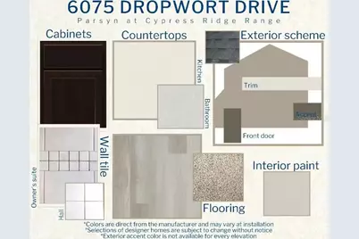 6075 Dropwort Drive, Wimauma, FL 33598 - Photo 3