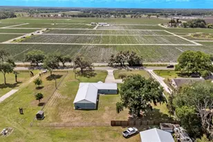 6110 Downing St, Dover, FL 33527 - Photo 43