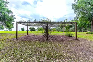 6850 Hunt Rd, Groveland, FL 34736 - Photo 81