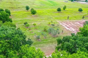 6850 Hunt Rd, Groveland, FL 34736 - Photo 89