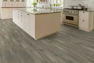 557 Silverbell Trl, Saint Cloud, FL 34771 - Photo 5