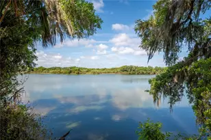 4537 Fairway Oaks Dr, Mulberry, FL 33860 - Photo 43