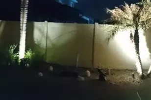 1952 Wind Meadows Dr, Bartow, FL 33830 - Photo 63