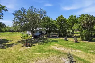 227 Cracker Ln, Wauchula, FL 33873 - Photo 5