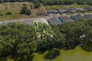 4541 Fairway Oaks Dr, Mulberry, FL 33860 - Photo 49