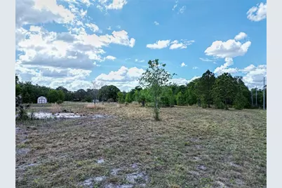 Coronet Road, Mulberry, FL 33860 - Photo 5