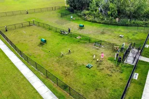 4167 Red Fern Ln, Lakeland, FL 33811 - Photo 39