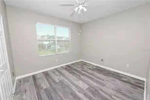 30816 Pumpkin Ridge Dr, Wesley Chapel, FL 33543 - Photo 27