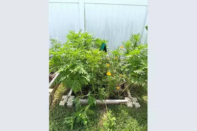 1373 Mezzavalle Way, Auburndale, FL 33823 - Photo 31