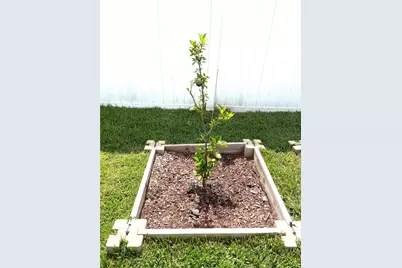 1373 Mezzavalle Way, Auburndale, FL 33823 - Photo 29