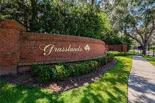 774 Grasslands Village Cir, Lakeland, FL 33803 - Photo 3