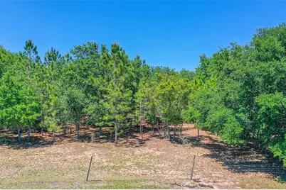 107 Edgewood Boulevard, Lake Wales, FL 33898 - Photo 31