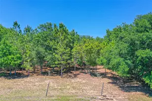 107 Edgewood Blvd, Lake Wales, FL 33898 - Photo 31