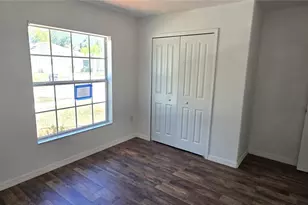 10033 Crested Fringe Dr, Riverview, FL 33578 - Photo 13