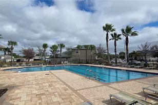 10033 Crested Fringe Dr, Riverview, FL 33578 - Photo 35