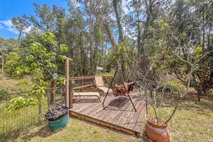 305 Cloverleaf Rd, Lake Placid, FL 33852 - Photo 23