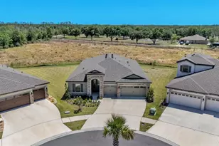 13112 Wellspring Dr, Lithia, FL 33547 - Photo 3