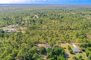 1019 Dearing St, Lake Placid, FL 33852 - Photo 29