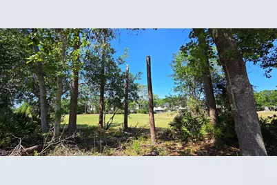 5352 Camberlea Avenue, Zephyrhills, FL 33541 - Photo 47