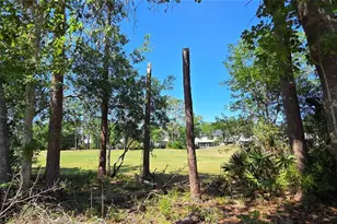 5352 Camberlea Ave, Zephyrhills, FL 33541 - Photo 47