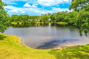 2539 Centennial Falcon Dr, Valrico, FL 33596 - Photo 37