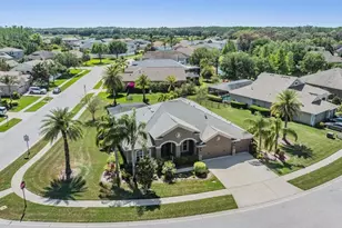 8721 Crystal Creek Ct, Land O Lakes, FL 34638 - Photo 3