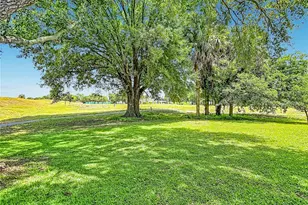 707 Carpenters Way, Lakeland, FL 33809 - Photo 59