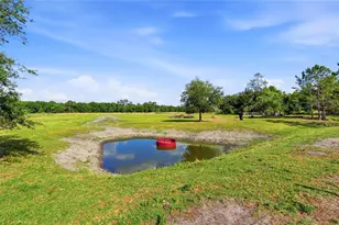 39000 Sparkman Rd, Dade City, FL 33525 - Photo 49