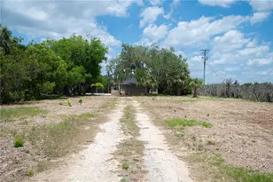 1920 E Palm St, Davenport, FL 33837 - Photo 47
