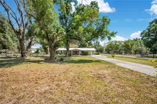 6311 Bob Head Rd, Plant City, FL 33565 - Photo 33
