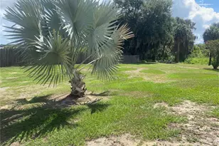 91 Woodland Dr, Haines City, FL 33844 - Photo 41
