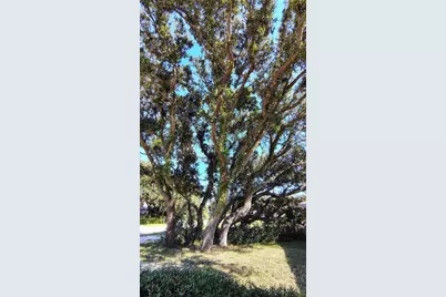 4790 Michael Lane, Ponce Inlet, FL 32127 - Photo 23